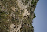 The Eastern Road to the Monastery of the Holy Mother of God in Treskavec in 2016