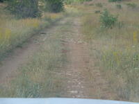 Remnants of the Old Road between the Villages of Podmol and Bonče (© Tabula Imperii Byzantini and Mihailo St. Popović, 2016)