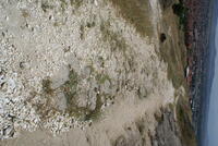 Remnants of the Old Road to the South-East of Markovi Kuli, Prilep (© Tabula Imperii Byzantini and Mihailo St. Popović, 2016)