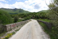 The German Bridge Being Part of the Road of Prisad