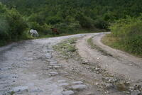 The German Road from WW I over the Pass of Prisad