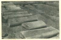 Marble Columns of the Early Christian Basilica found during the Excavations in the First World War (Photograph published by Karl Hald)