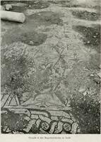 The Mosaic Floor in the Cemetery Basilica (Photograph published by Paul Clemen)