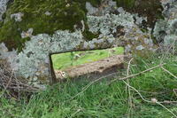 Camouflaged German Fortified Positions from the First World War on the Elevation Kale