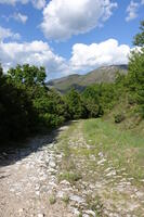 Remnants of the German Military Road between the Village of Belovodica and the Pass of Ligurasa