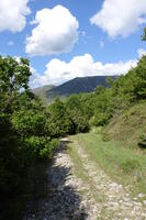 Remnants of the German Military Road between the Village of Belovodica and the Pass of Ligurasa