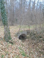 Die Wasserkanäle im Schloßpark des Schlosses Ebreichsdorf (in Richtung Badener Straße)