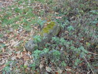 Die Wasserkanäle im Schloßpark des Schlosses Ebreichsdorf (in Richtung Badener Straße)