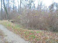 Die Wasserkanäle im Schloßpark des Schlosses Ebreichsdorf (in Richtung Badener Straße)