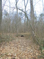 Der Wasserkanal beim Rondeau mit den vier Säulen im Schloßpark des Schlosses Ebreichsdorf